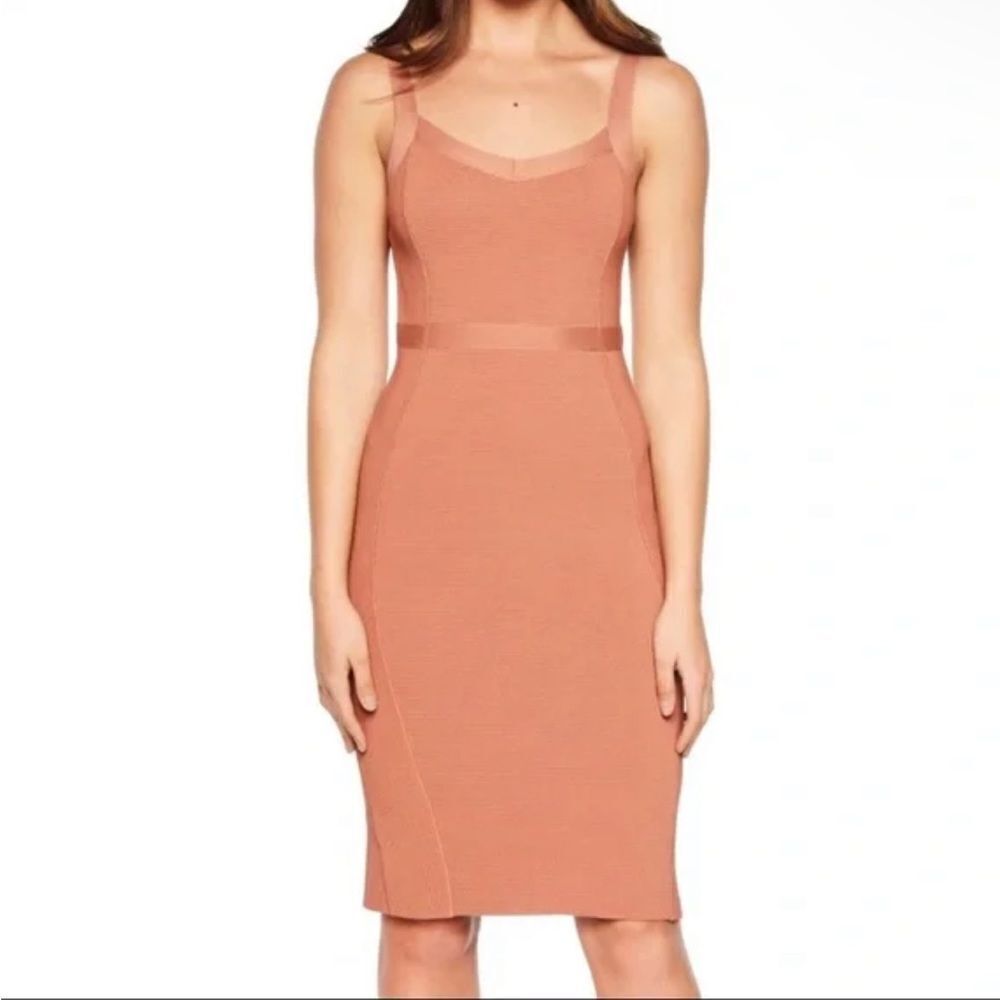 NWT Bardot Katy Knit Midi Bodycon Dress Chestnut Brown Size 6 Fitted